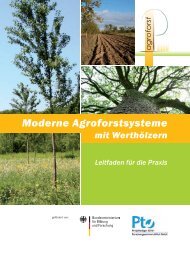 Was sind Agroforstsysteme? - Landespflege Freiburg