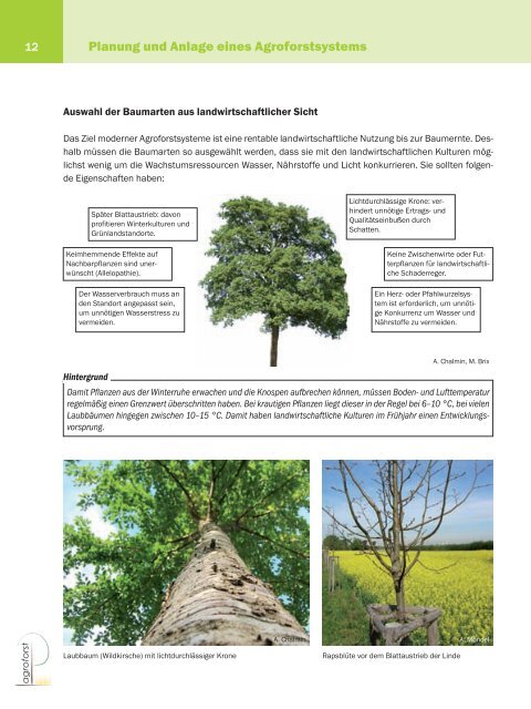 Was sind Agroforstsysteme? - Landespflege Freiburg