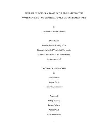 the role of insulin and akt in the regulation of the norepinephrine ...