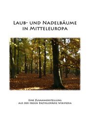 Laub- und Nadelbäume Mitteleuropas - Michael Gasperl Online