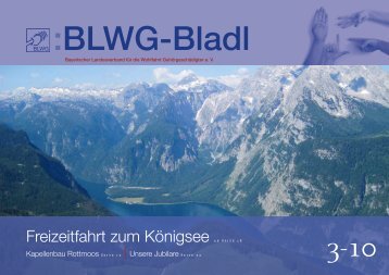 BLWG-Bladl, Ausgabe 3 /2010