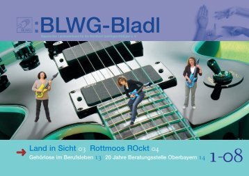 BLWG-Bladl, Ausgabe 1 /2008