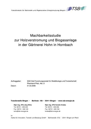 Machbarkeitsstudie zur Holzverstromung und Biogasanlage in der ...