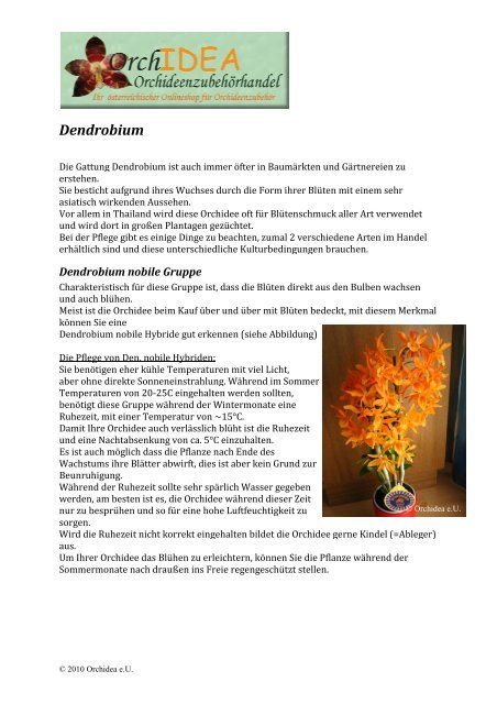 Anleitung für Dendrobium (pdf) - OrchIDEA