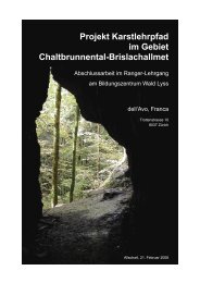 Projekt Karstlehrpfad Im Gebiet Chaltbrunnental ... - SGH-Basel