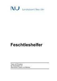 Broschüre Feschtleshelfer - Landkreis Neu-Ulm