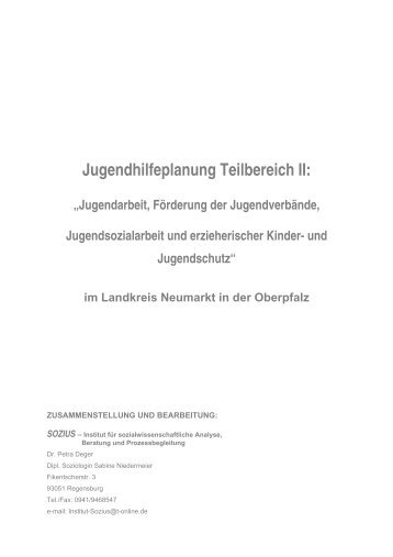 Jugendhilfeplanung Teilbereich II: - Landkreis Neumarkt