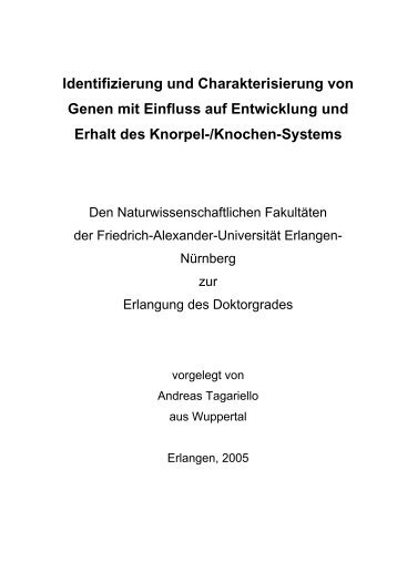 Dokument 1.pdf - OPUS - Friedrich-Alexander-Universität Erlangen ...