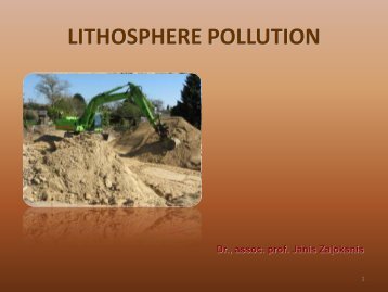 the lithosphere