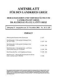 und Finanzaus- schusses am 31.08.2004 - Landkreis Greiz