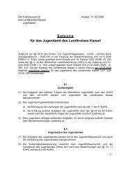 Satzung für Jugendamt des Landkreises Kassel - Landkreis Kassel