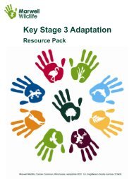 KS3 Adaptation Resource Pack - Marwell Wildlife