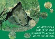 An identification guide to the small mammals of ... - North Pennines