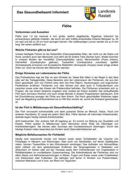 Merkblatt Flöhe - Landkreis Rastatt