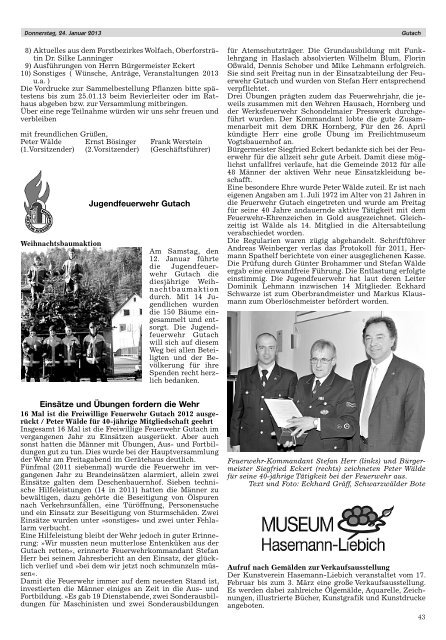 Mitteilungsblatt 24.01.2013 - Hausach