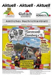 Mitteilungsblatt 07.02.2013 - Hausach