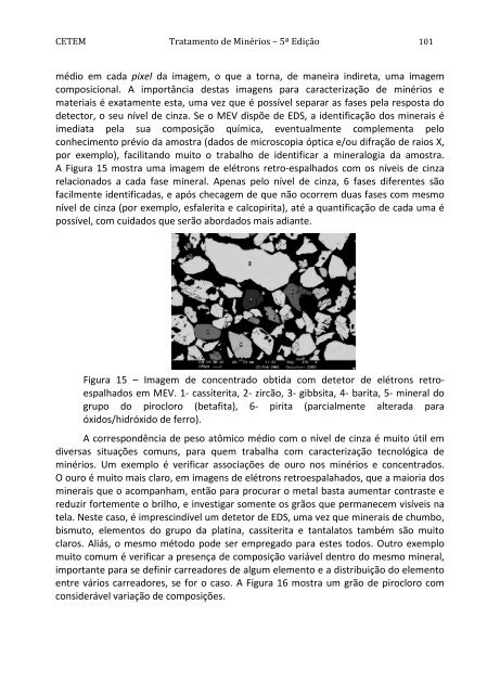 Tratamento de Minérios.pdf