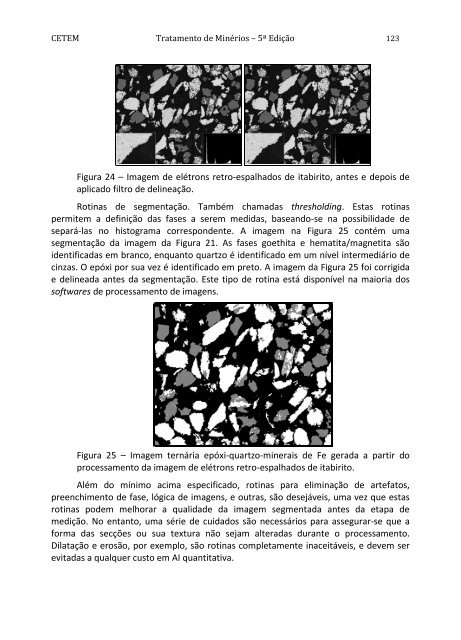 Tratamento de Minérios.pdf