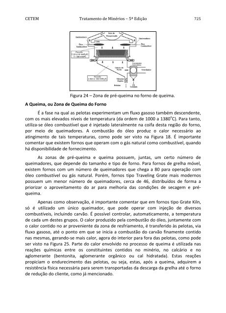 Tratamento de Minérios.pdf