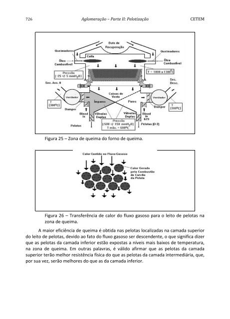 Tratamento de Minérios.pdf