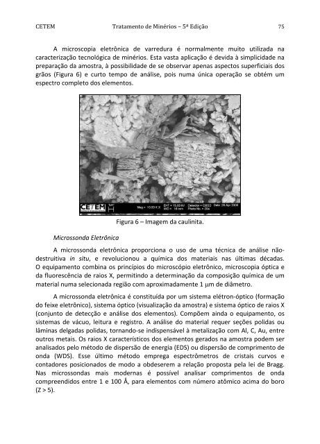 Tratamento de Minérios.pdf