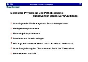 Molekulare Physiologie und Pathobiochemie ausgewählter Magen ...