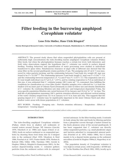Filter Feeding In The Burrowing Amphipod Corophium Volutator