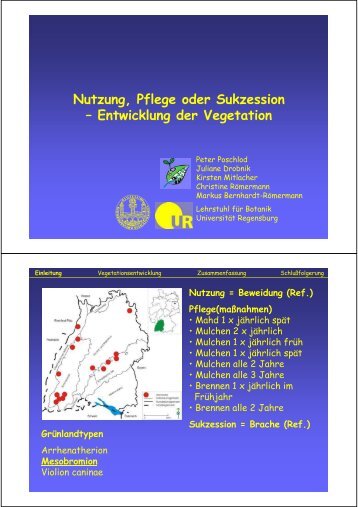 Nutzung, Pflege oder Sukzession: Entwicklung der Vegetation