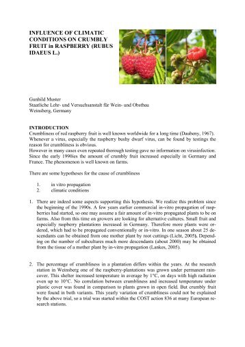 INFLUENCE OF CLIMATIC CONDITIONS ON CRUMBLY FRUIT in ...