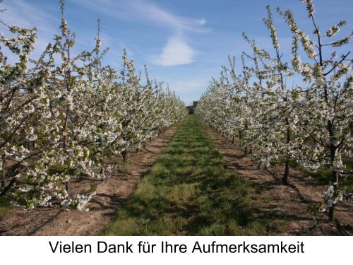 Praxiserfahrungen mit der Tropfbewässerung und Fertigation bei Apfel
