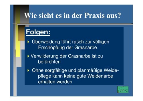 Pferde und Weidemanagement