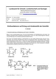 Einflussfaktoren auf Ertrag und Inhaltsstoffe der Kartoffel - II. Zucker