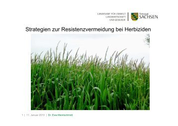 Strategien zur Resistenzvermeidung bei Herbiziden - Landwirtschaft ...