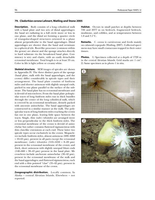 A guide to the deep-water sponges of - NMFS Scientific Publications ...