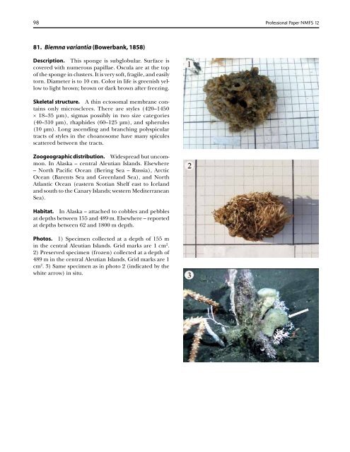 A guide to the deep-water sponges of - NMFS Scientific Publications ...