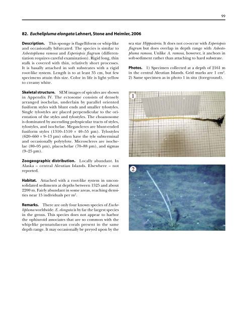 A guide to the deep-water sponges of - NMFS Scientific Publications ...