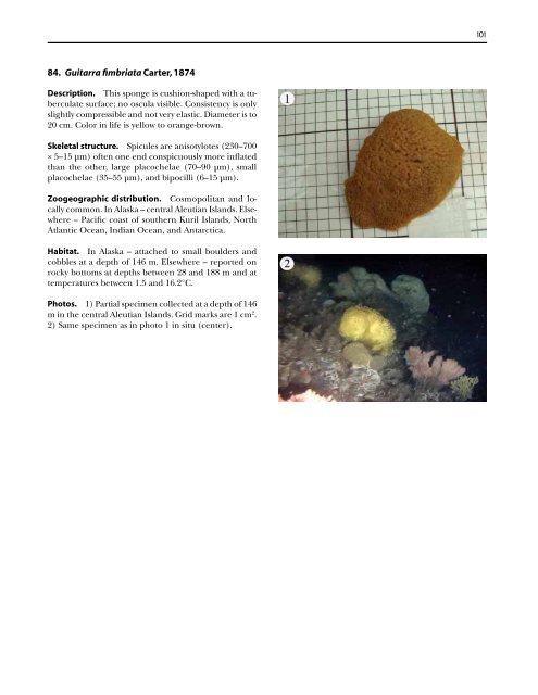 A guide to the deep-water sponges of - NMFS Scientific Publications ...