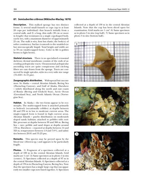 A guide to the deep-water sponges of - NMFS Scientific Publications ...