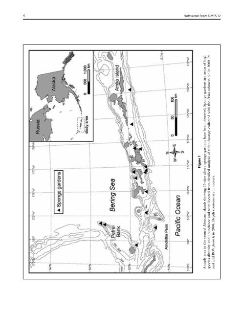 A guide to the deep-water sponges of - NMFS Scientific Publications ...