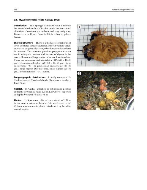 A guide to the deep-water sponges of - NMFS Scientific Publications ...