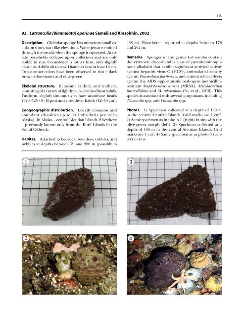 A guide to the deep-water sponges of - NMFS Scientific Publications ...