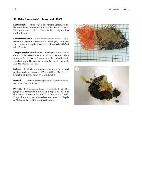 A guide to the deep-water sponges of - NMFS Scientific Publications ...