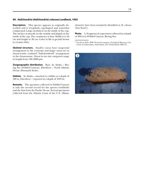 A guide to the deep-water sponges of - NMFS Scientific Publications ...