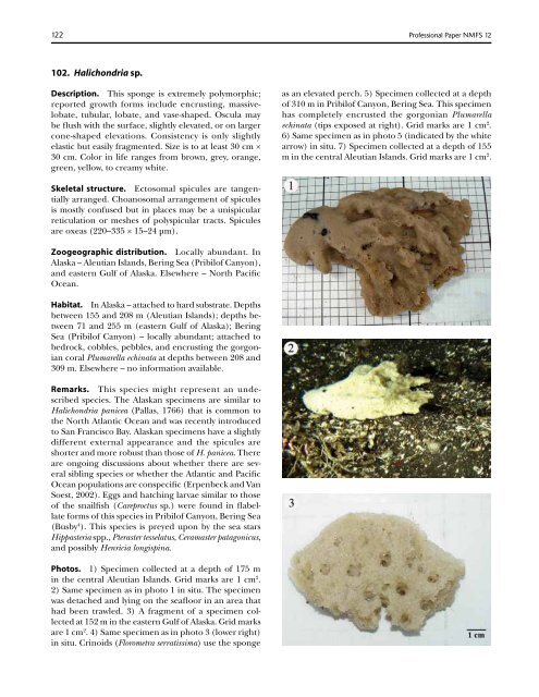 A guide to the deep-water sponges of - NMFS Scientific Publications ...