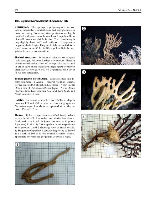 A guide to the deep-water sponges of - NMFS Scientific Publications ...