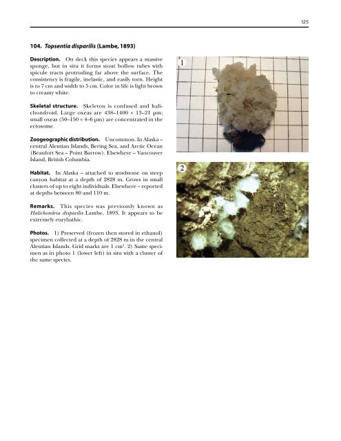 A guide to the deep-water sponges of - NMFS Scientific Publications ...