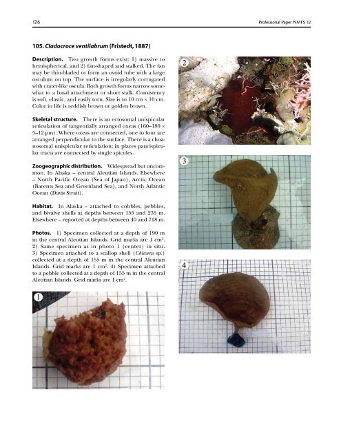 A guide to the deep-water sponges of - NMFS Scientific Publications ...