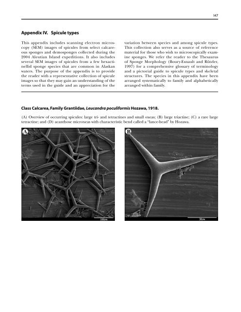 A guide to the deep-water sponges of - NMFS Scientific Publications ...