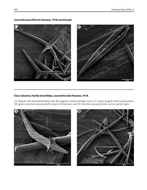 A guide to the deep-water sponges of - NMFS Scientific Publications ...