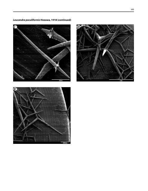 A guide to the deep-water sponges of - NMFS Scientific Publications ...